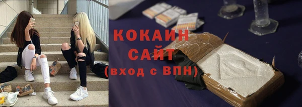 гидра Арсеньев