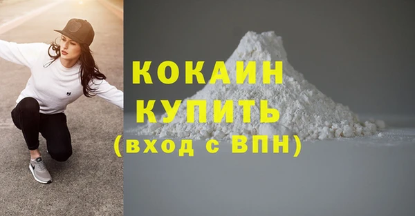 гидра Арсеньев