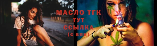 гидра Арсеньев
