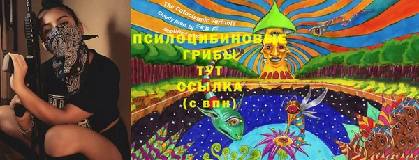 гидра Арсеньев