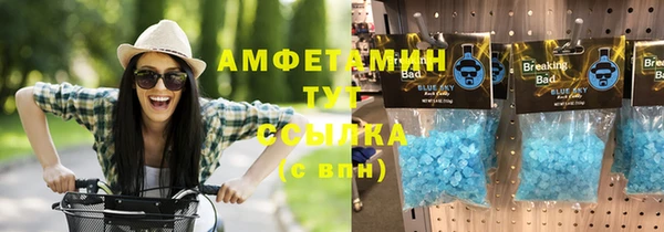 гидра Арсеньев